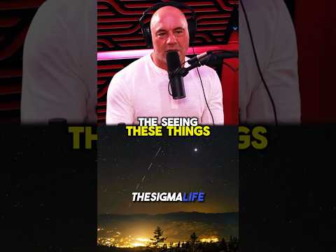 Elon Musk on Why You Can See Starlink Satellites