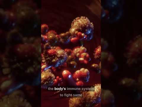 Revolutionary Cancer Breakthrough: New Treatment Offers Hope for Patients