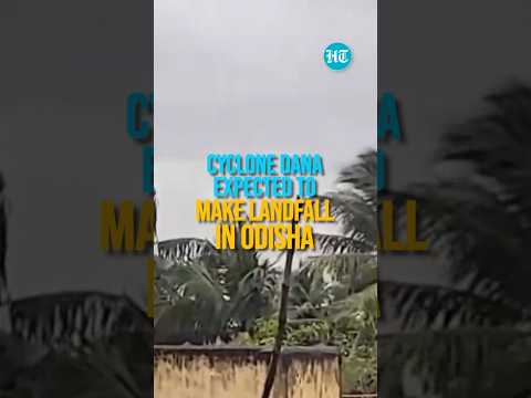Cyclone Dana Approaches Odisha: Gusty Winds &amp; Drizzle Hit Dhamra Ahead Of Landfall