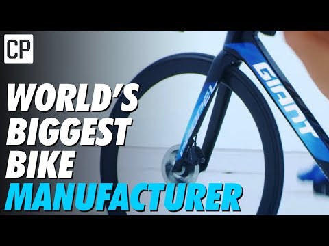 How Giant Became The World&#039;s Biggest Bike Company