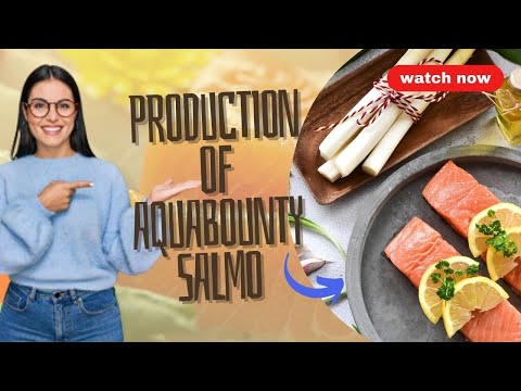 How AquaBounty Salmon Revolutionized Sustainable Seafood Production
