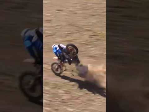 Motorcycle Splits in HALF at Dakar Rally