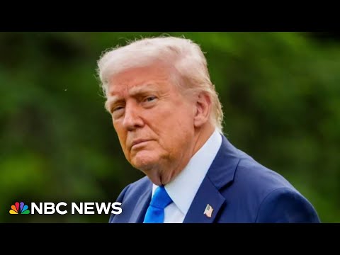 Questions raised over access to Trump at crypto coin dinner and clash with South African president