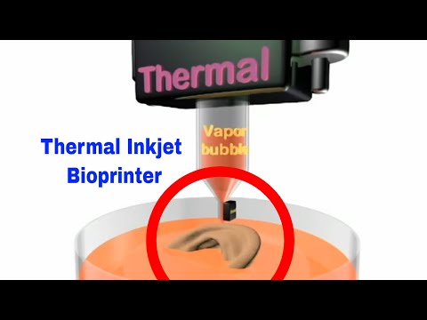 열 잉크젯 바이오프린터:생체 프린팅의 혁신 Thermal Inkjet Bioprinter:Revolutionizing Bioprinting for Tissue Engineering