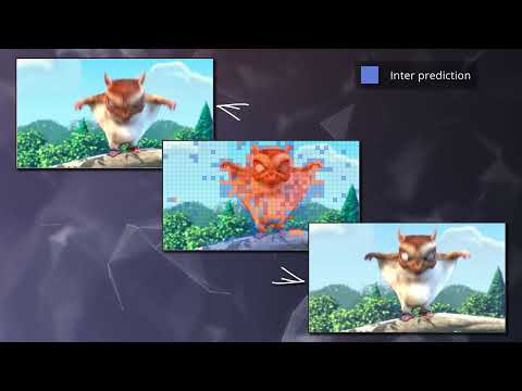 How video compression works