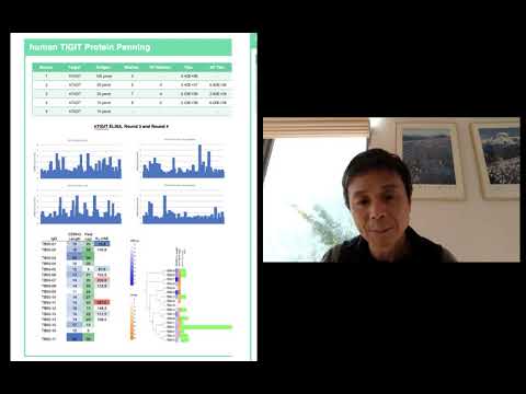 A semi-Synthetic Human Hyperimmune Antibody Library for Drug Discovery
