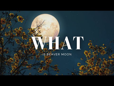 BEAVER MOON: The Full Details You Need To Know