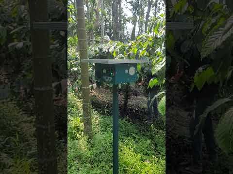 Sensor Animal Repellent System #AnimalRepellent #SolarPowered