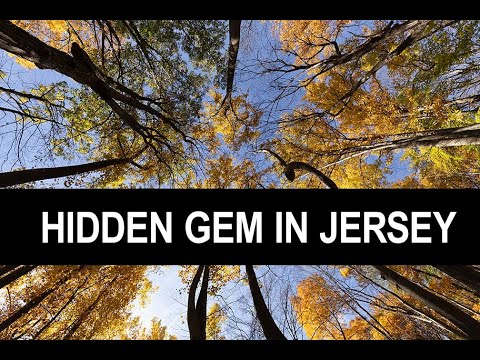 Hidden Gem in Jersey. Jenny Jump Photos. Photos of Jenny Jump State Park in Warren County, NJ