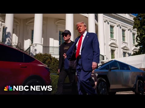 Trump told Cabinet members Elon Musk would be leaving government role soon
