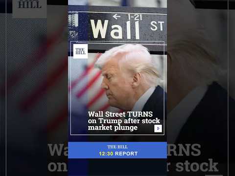 Wall Street TURNS On Trump After Stock Market Plunge