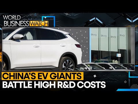 China&#039;s EV industry faces global expansion hurdles | World Business Watch