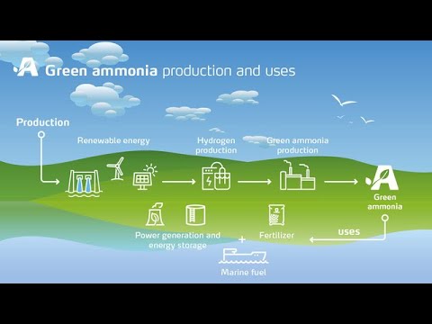 Ammonia Categorization (Grey, Blue, Green) &amp; What is Green Ammonia How it is Produced?