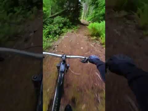 this POV will make you want to ride an Ebike 😵