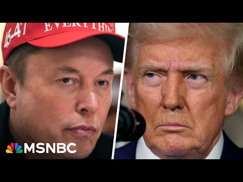 Trump told Cabinet members Musk will leave soon: report