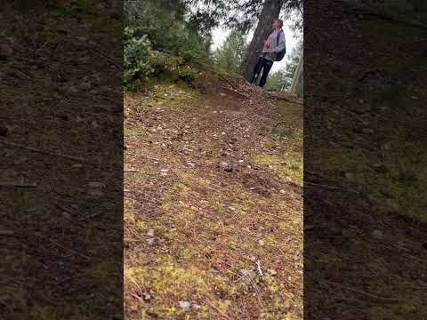 Scooter Near-Falls: The Hidden Dangers of E-Scooters