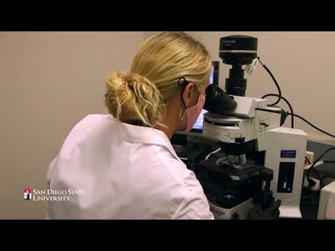 Mentorship in Action: Cancer Researchers Unlock Secrets of Tumor Growth