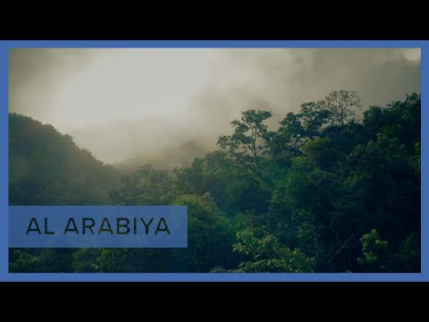The Green Promise Documentary