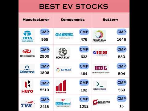 Best Electric Vehicles ( EV ) Stocks for long term hold for multi bagger return