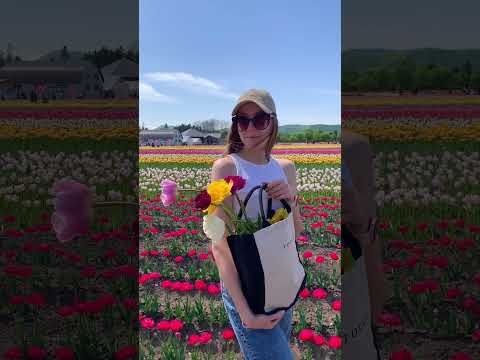 Tulip park | Hokkaido 🌷#japan #japantravel #hokkaido #tulip #aesthetic