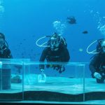 Dive into Discovery: ATU Students Showcase Groundbreaking Research