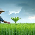 The AI Revolution Transforming India’s Agriculture: A Tech-Driven Harvest
