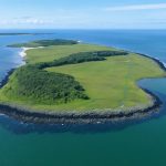 How Shamrock Island is Pioneering Revolutionary Coastal Conservation