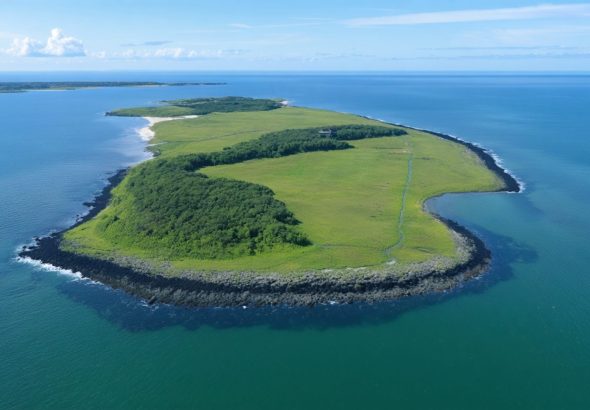 How Shamrock Island is Pioneering Revolutionary Coastal Conservation