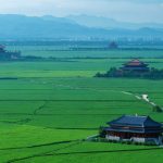 How China’s Countryside is Pioneering an AI Revolution Beyond Silicon Valley’s Wildest Dreams