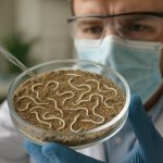 2025 Breakthroughs: Entomopathogenic Nematode Cultivation Set to Revolutionize Biological Pest Control