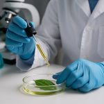 Jaujamine Alkaloid Extraction Tech: 2025 Breakthroughs & Billion-Dollar Forecasts Revealed