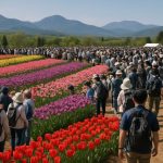 What Thousands Gathered to See Blooms and Brighter Futures in Hokkaido