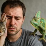 Toxoplasmosis Threat: Hidden Dangers in Exotic Pet Ownership Revealed (2025)