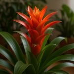 Guzmania Unveiled: Exotic Bromeliads That Transform Indoor Spaces